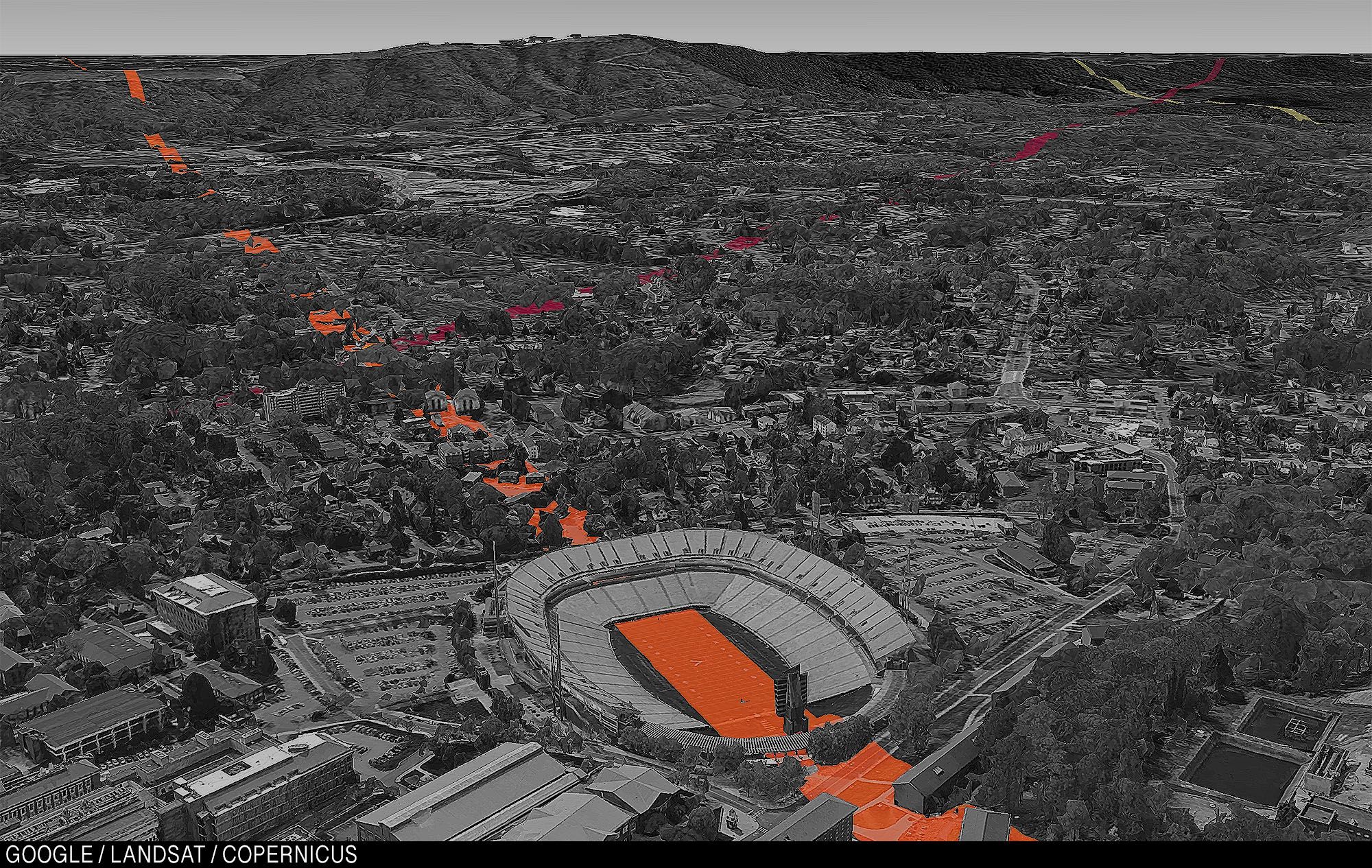 Поле Виргинии.